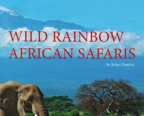 Wild Rainbow African Safaris Passport Article Photo
